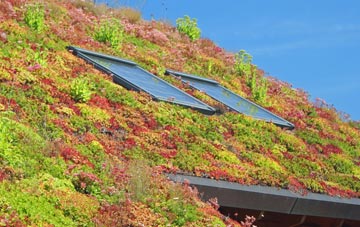 Stoneyford living roof systems