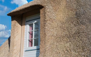 Stoneyford thatch roof disadvantages